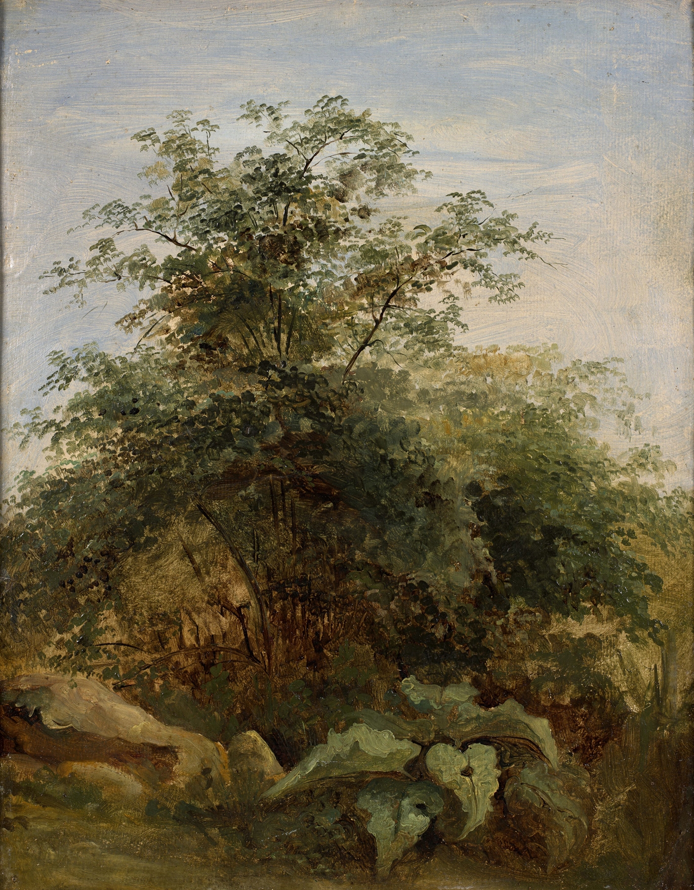 Study of a bush, plants and rocks next to the lake Nemi, by Pierre-Henri de Valenciennes, public domain