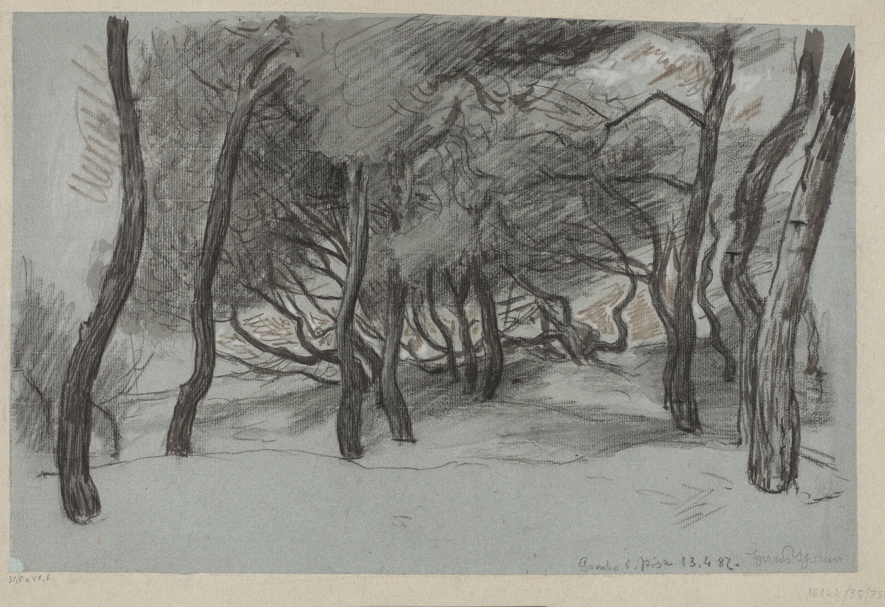 Trees on a beach in Gombo near Pisa, oil on canvas by Hans Thoma