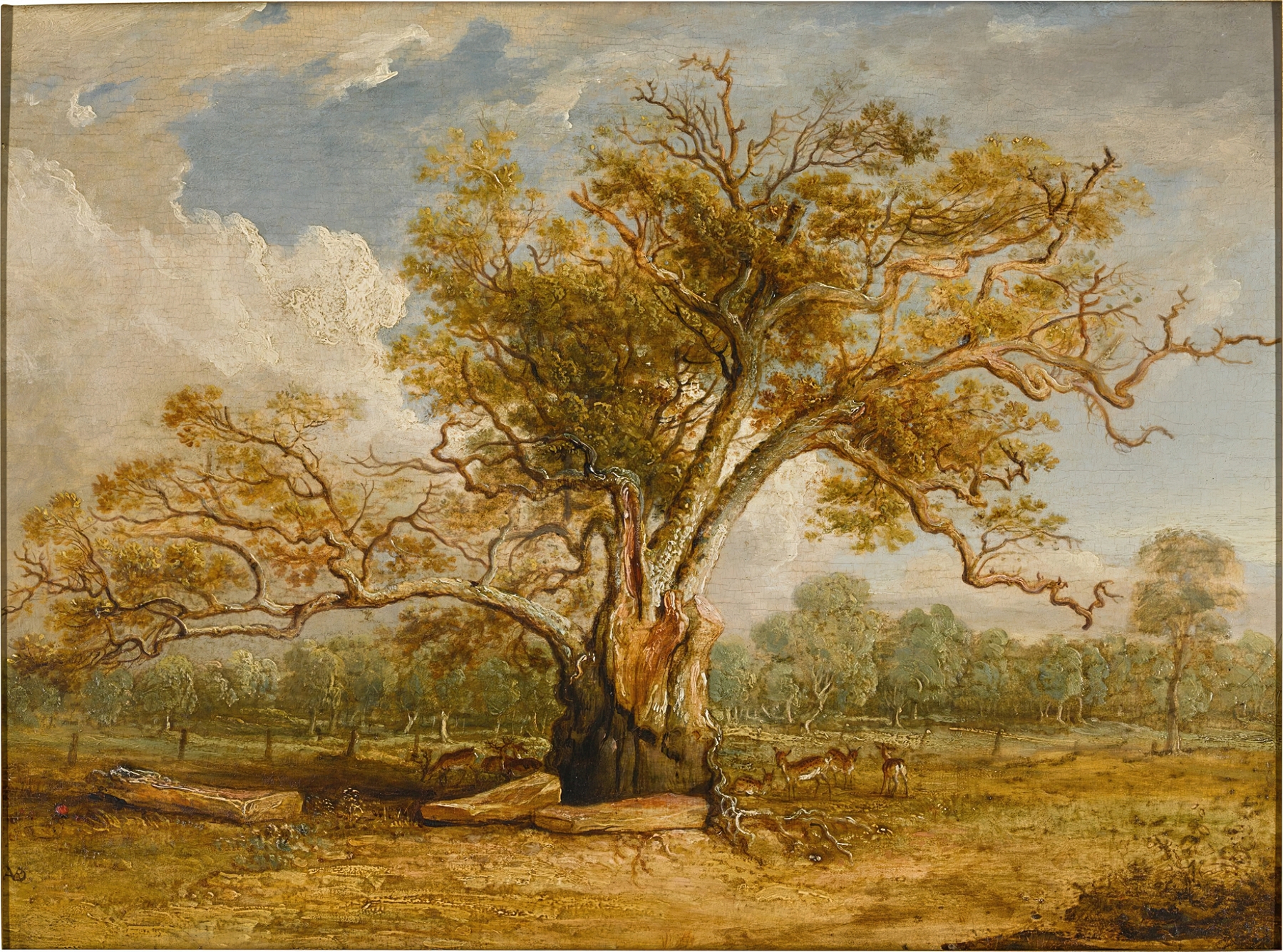 An oak tree and fallow deer in Richmond Park, oil on canvas by James Ward