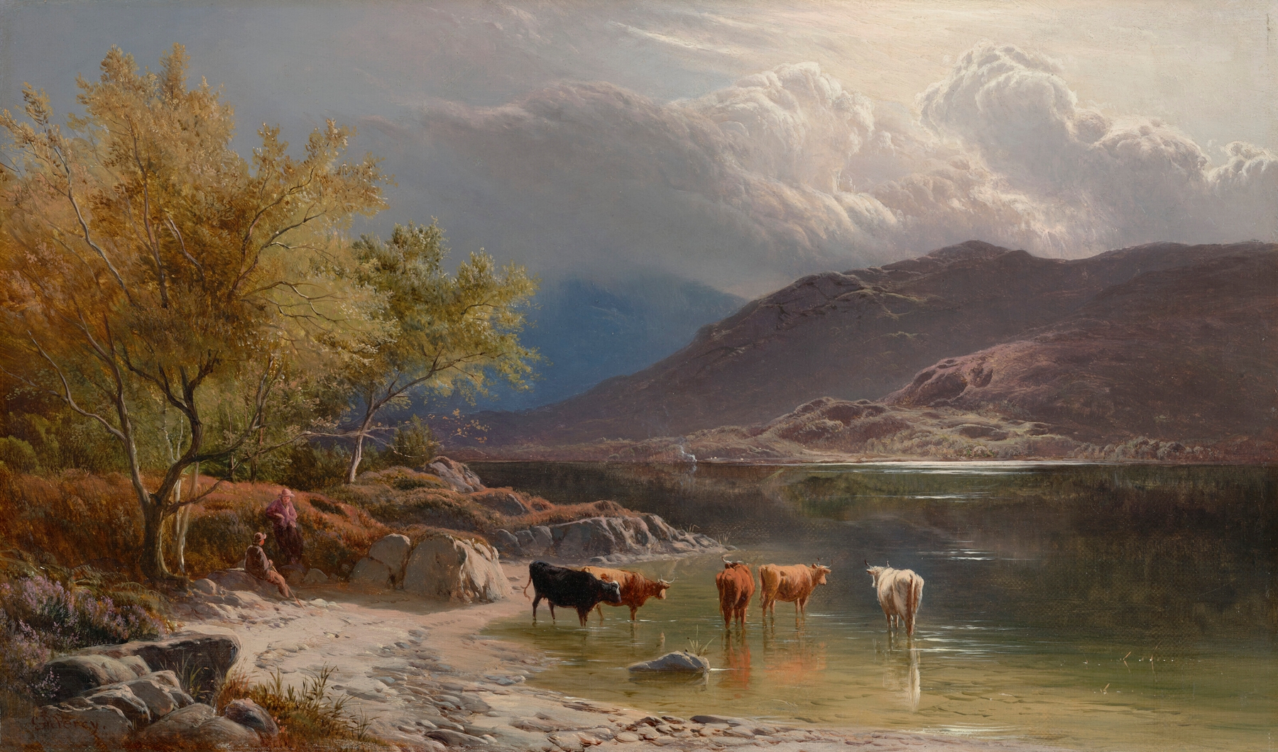 Cattle watering by a loch, oil on canvas by Sidney Richard Percy