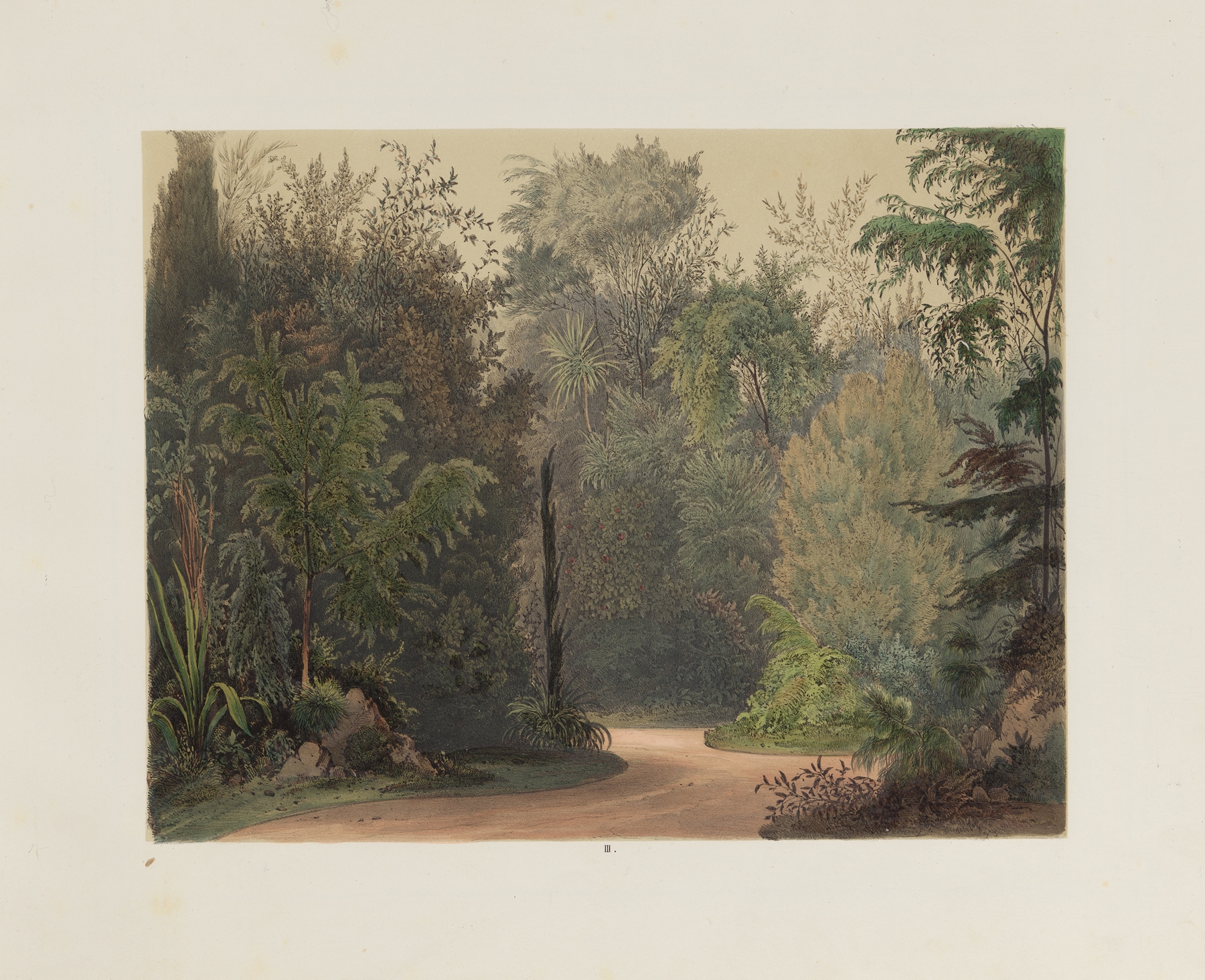 Interior scene of a winter garden with light illuminating foliage by Franz Antoine