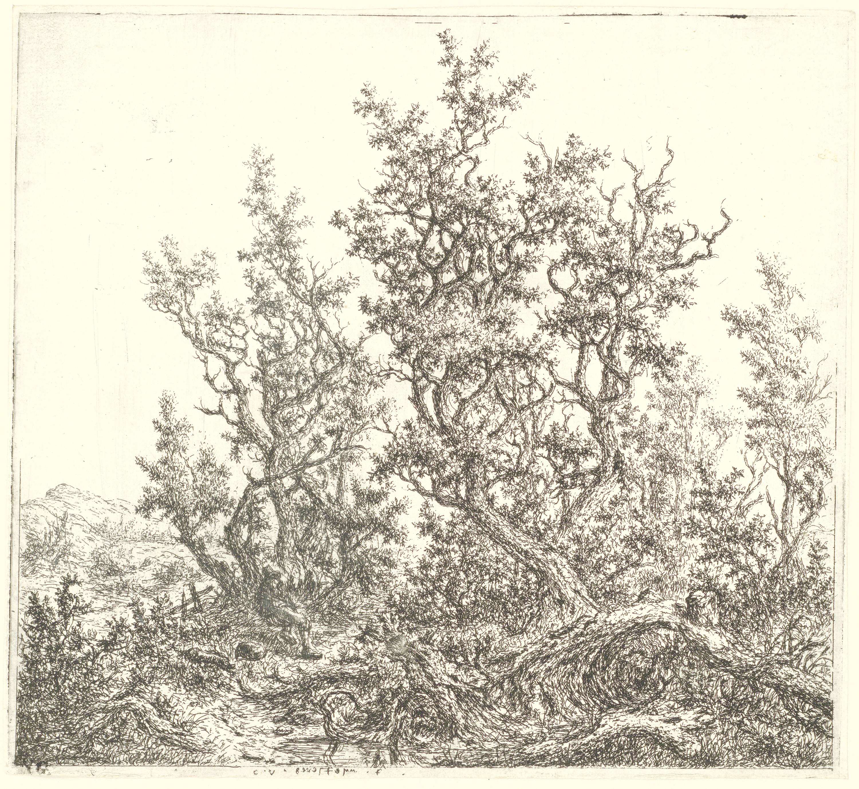 Landschap met een groep eiken en een rustende man, etching by Claes van Beresteyn