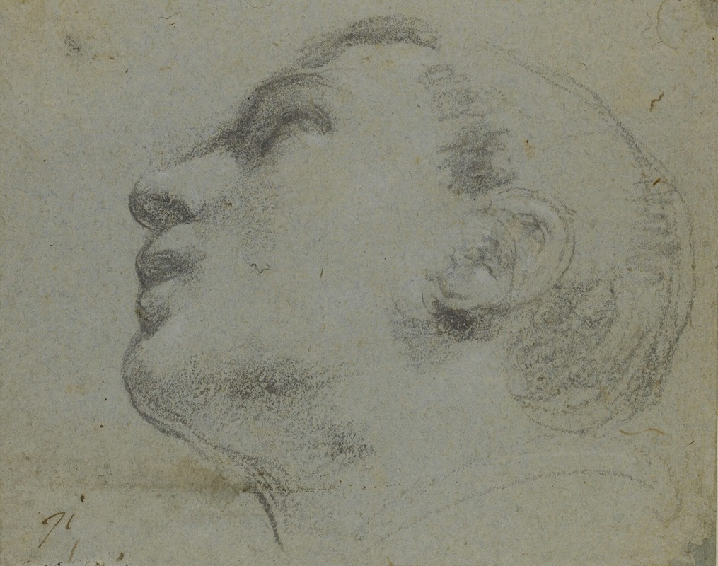 A portrait of a man with a thoughtful expression, painted by Guercino.