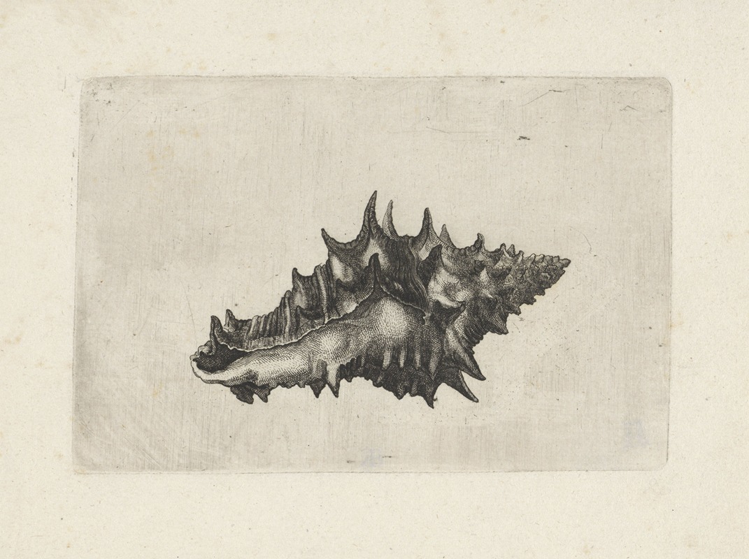 A ceramic vase with intricate designs by Wenceslaus Hollar.