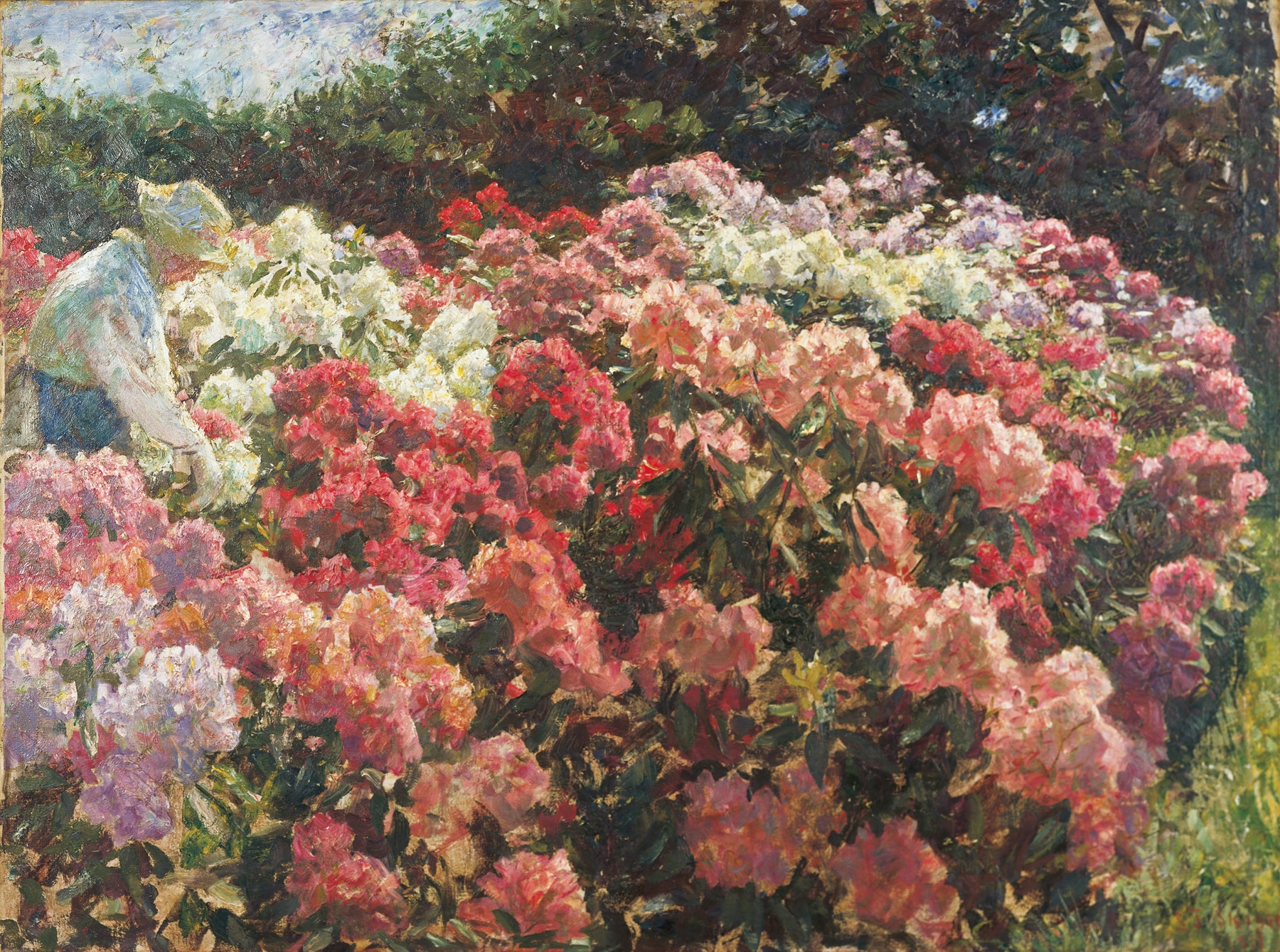 Rhododendron in Tuxen’s garden, oil painting by Laurits Tuxen