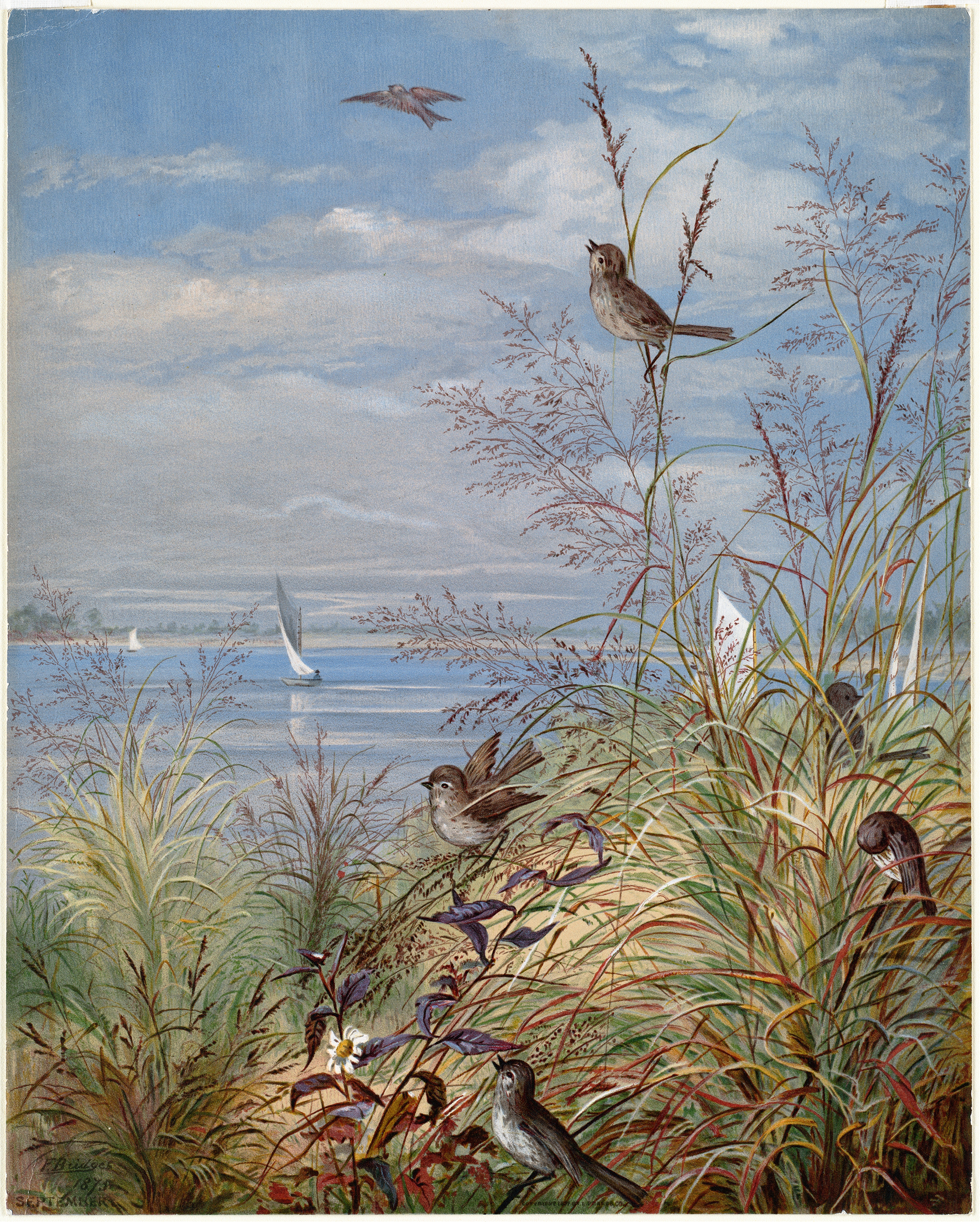 Watercolour by Fidelia Bridges depicting a landscape with autumn foliage and golden light.