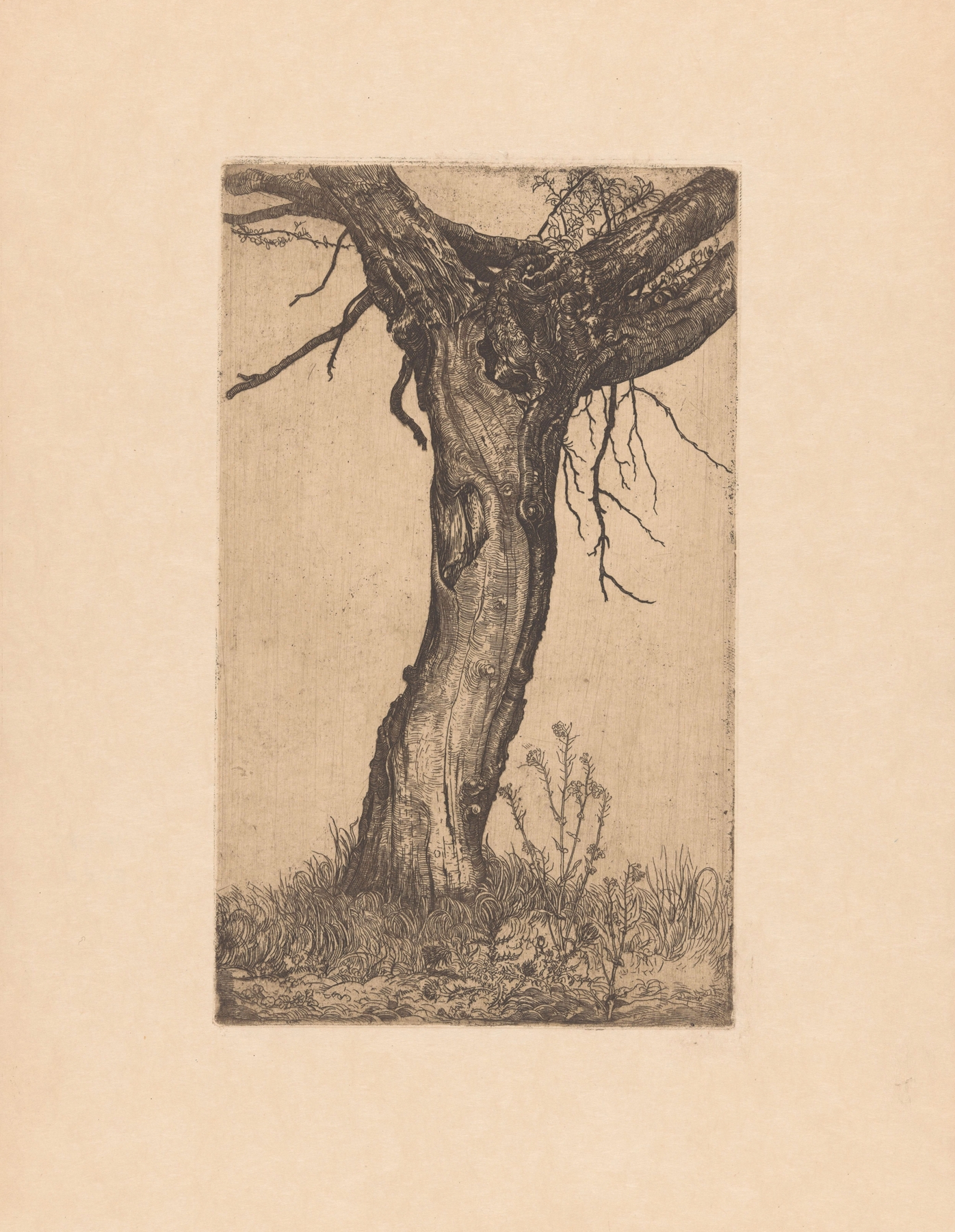 Landscape oil painting by Pieter Dupont featuring a gnarled willow tree.