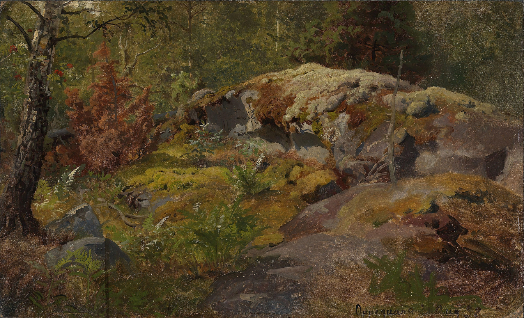 Forest Floor by Hans Gude, oil on canvas depicting a tranquil forest scene with rich earth tones.