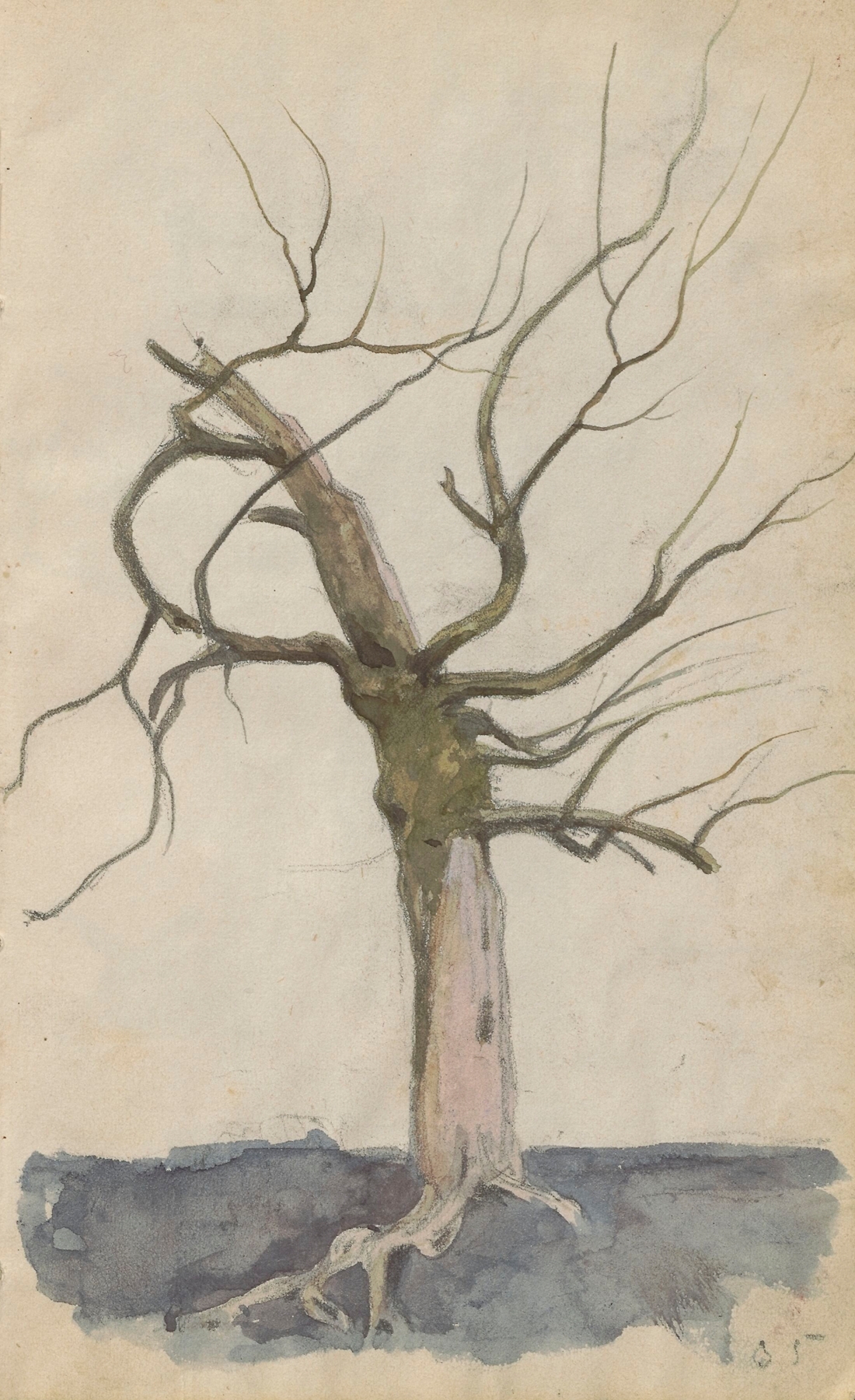 Leafless tree by Jan Stanisławski, oil on canvas, featuring gnarled branches and earthy tones.