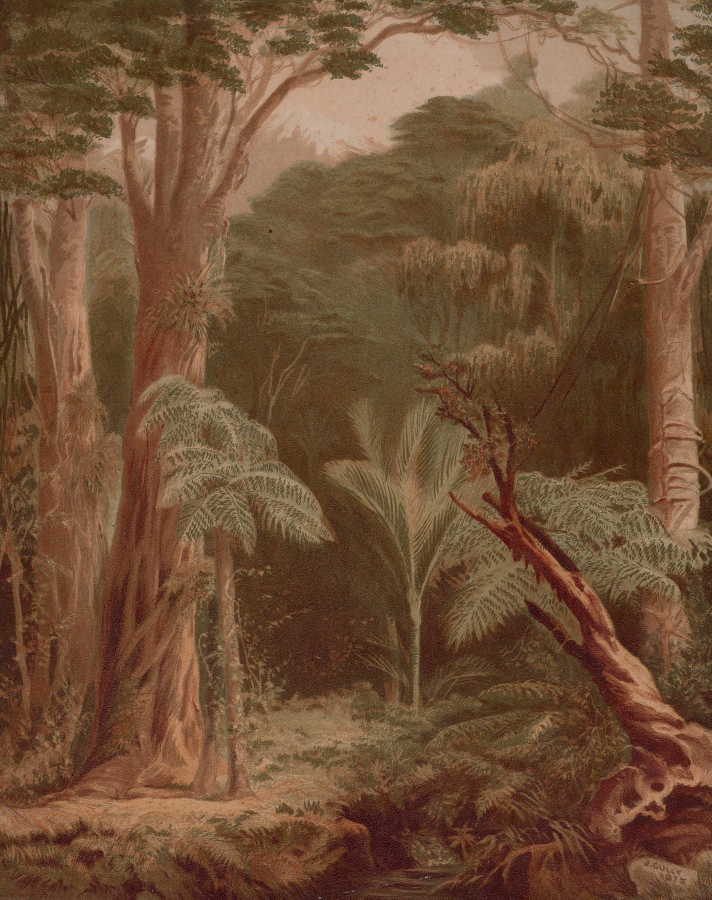 New Zealand bush scene by John Gully, oil on canvas depicting lush foliage and dappled light.
