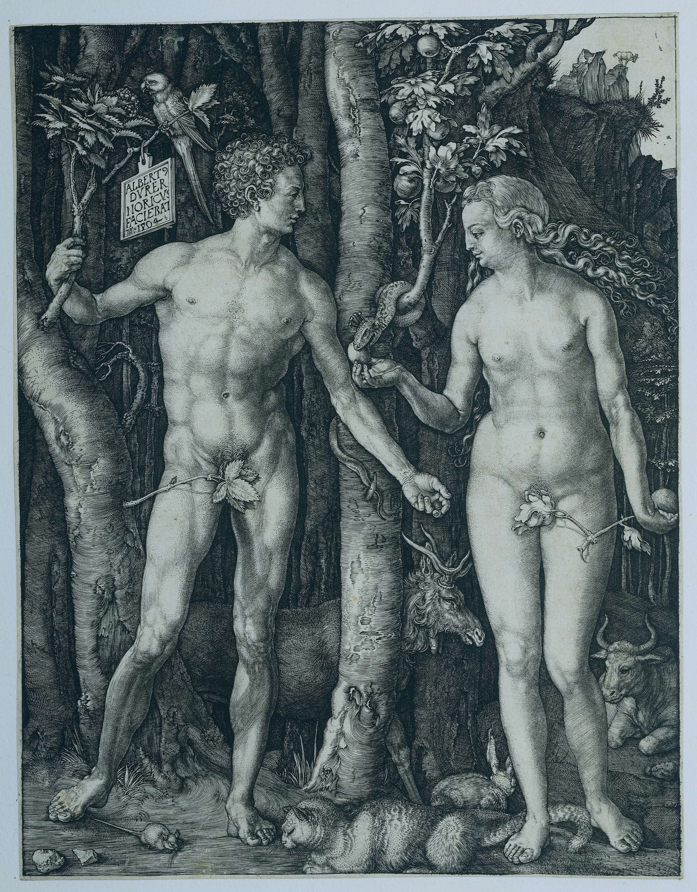 Adam en Eva, by Albrecht Dürer, public domain