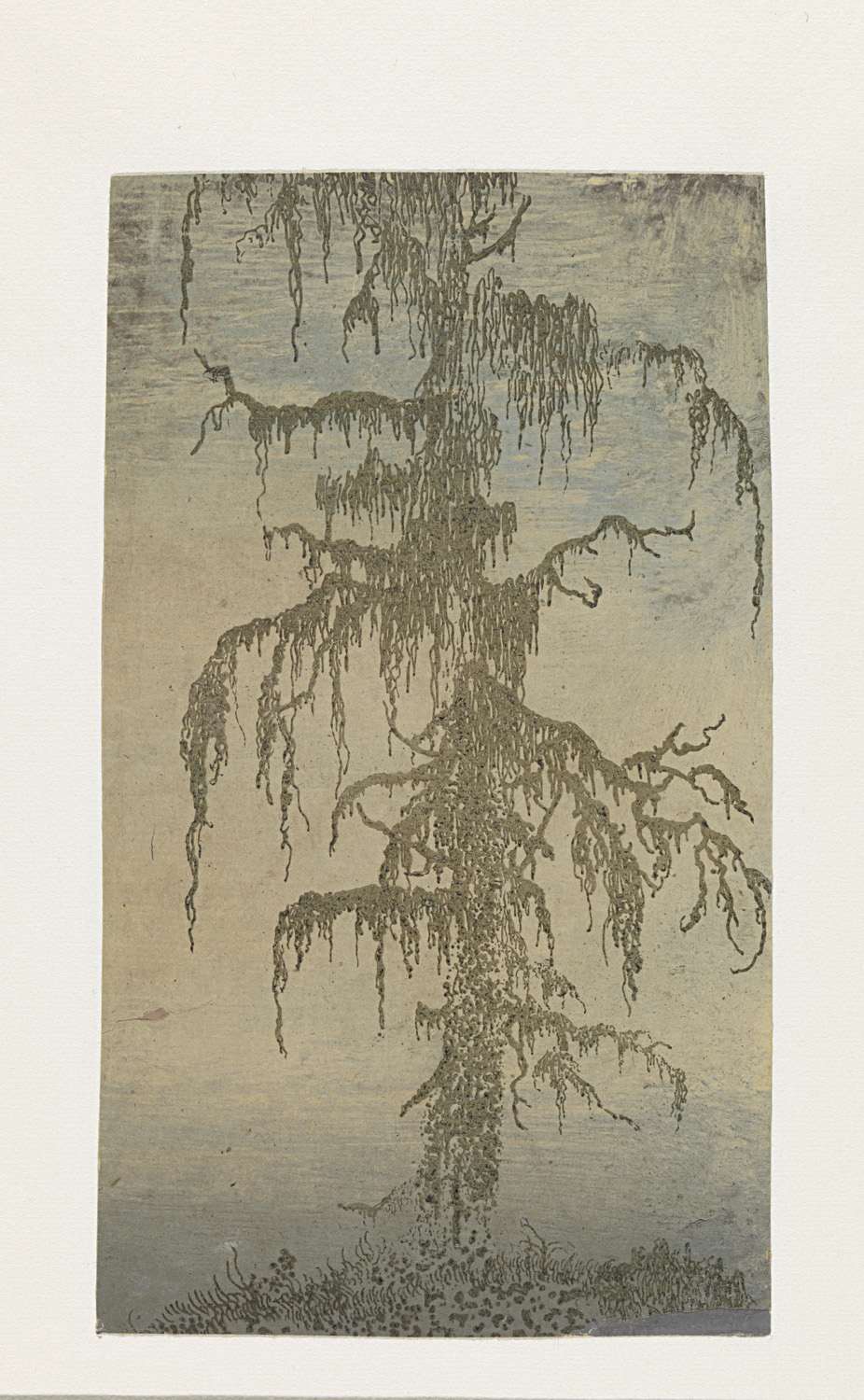 The Mossy Tree, by Hercules Segers, public domain