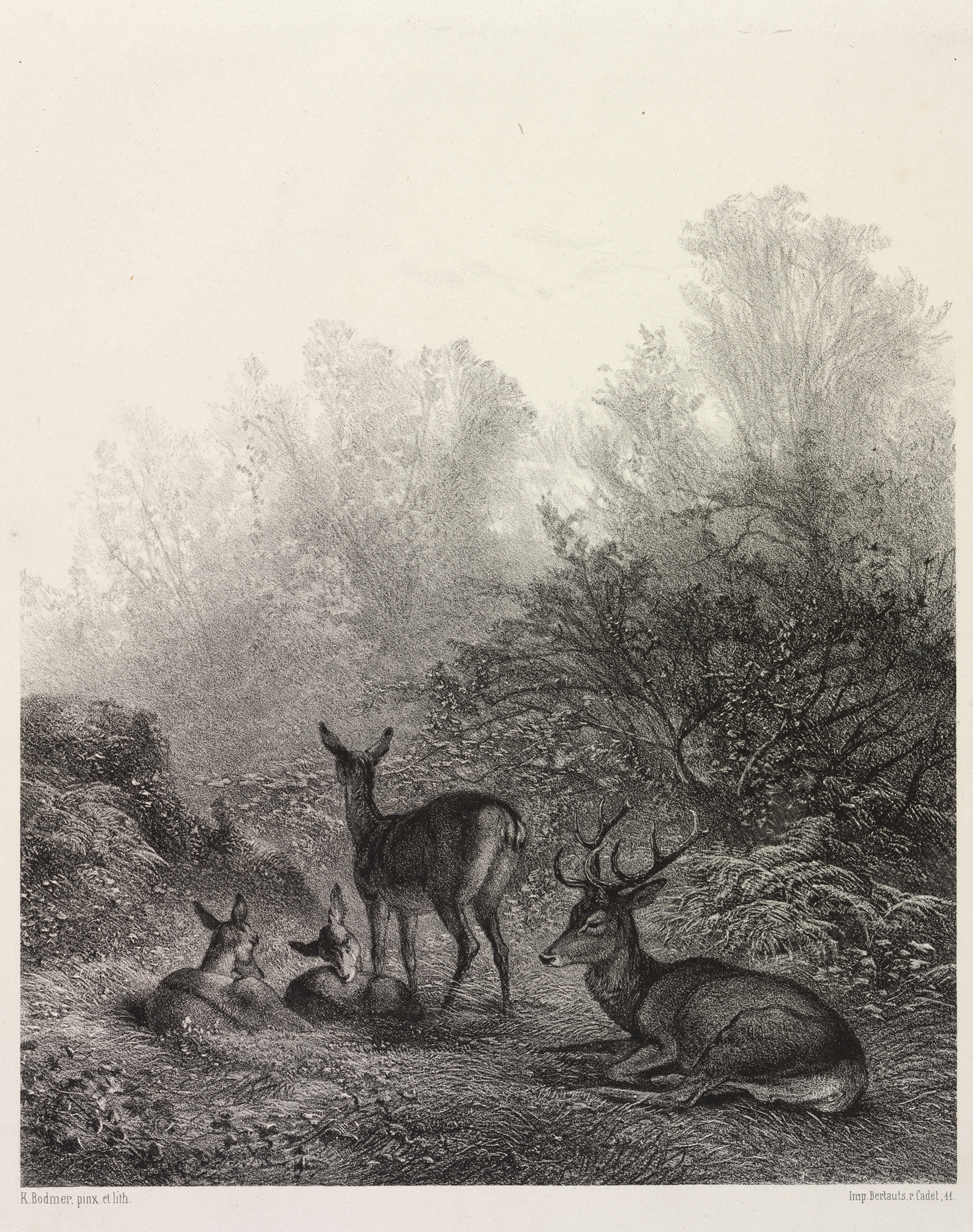 Watercolor on paper by Karl Bodmer depicting a deer resting in a tranquil landscape.