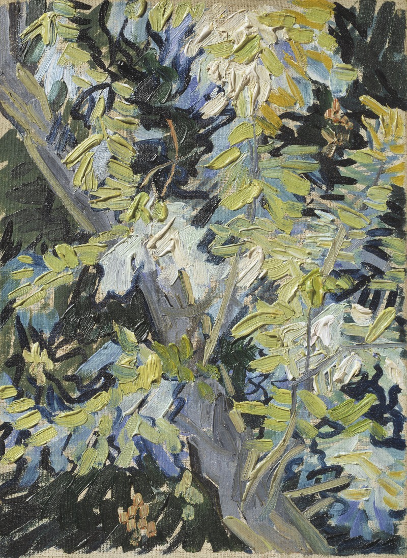 A vibrant depiction of acacia flowers in full bloom against a bright blue background.
