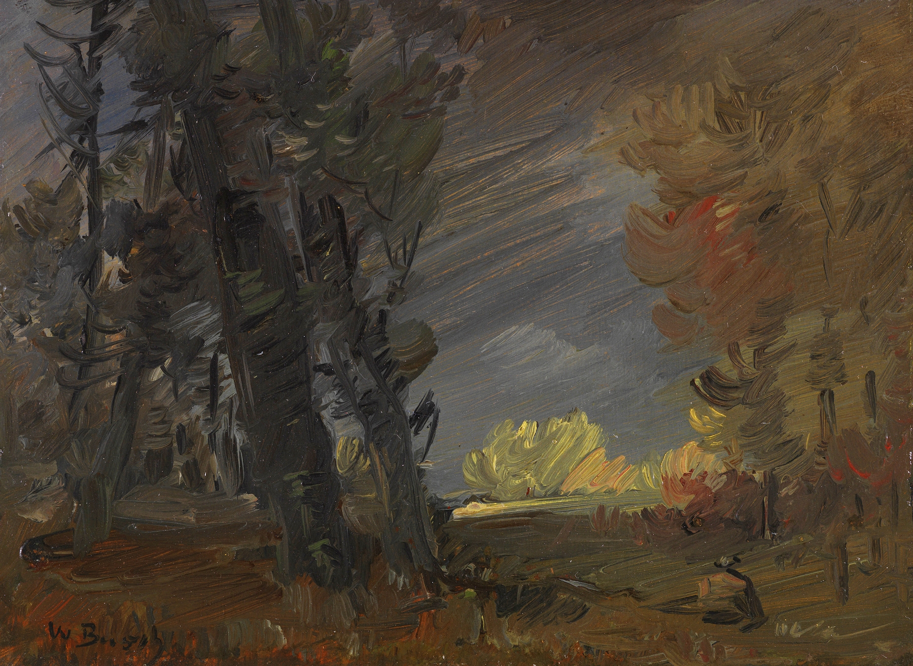 Landscape with sunlit trees, oil on canvas by Wilhelm Busch