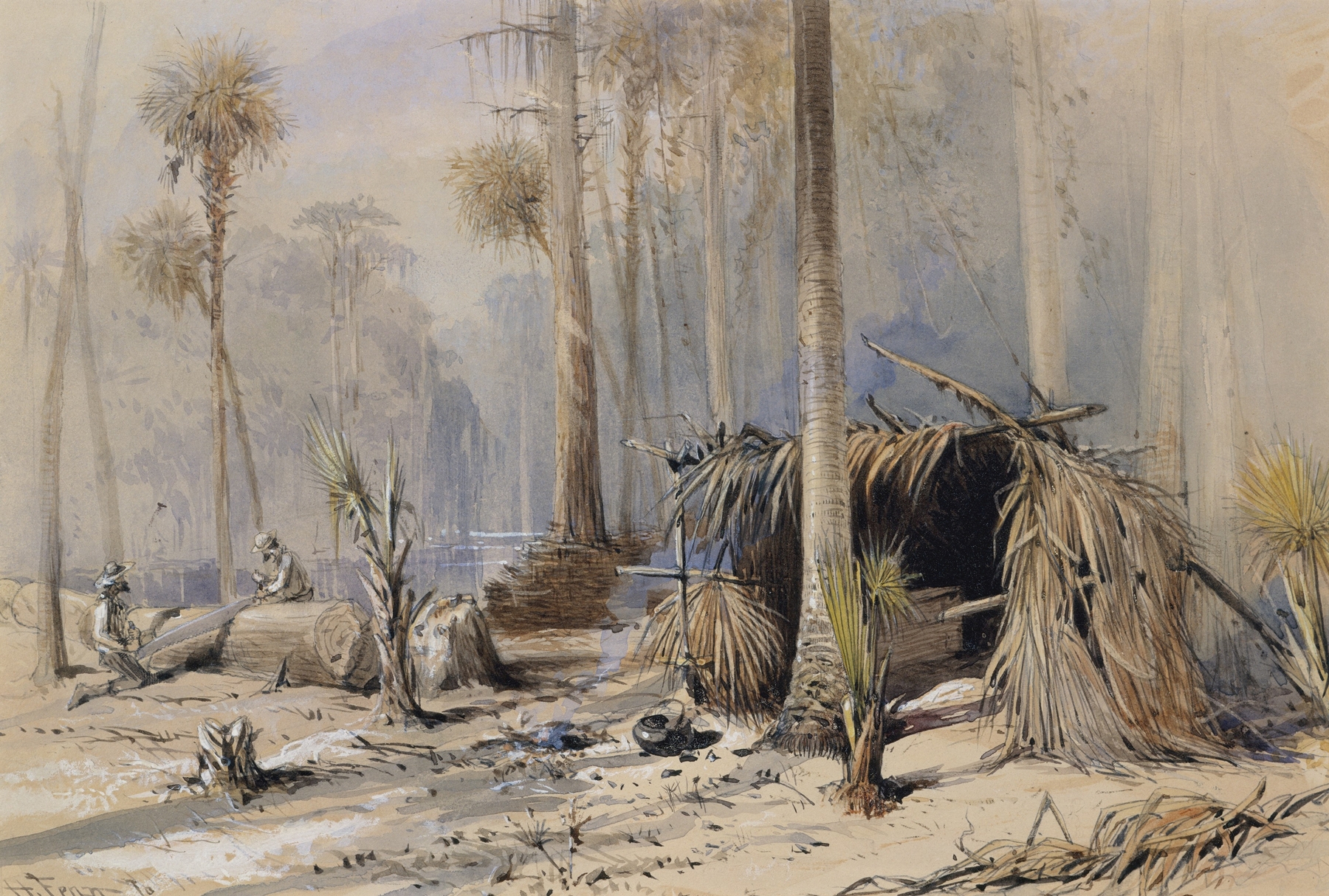 Watercolour by Harry Fenn depicting cypress trees along the Ocklawaha River in Florida.