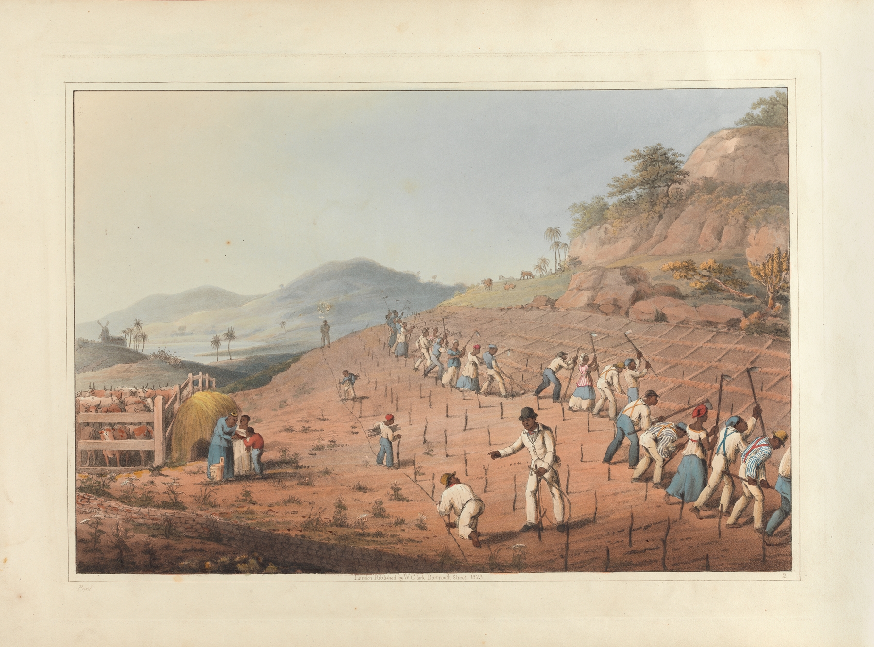 Digging, or rather Hoeing the Cane-Holes, by William A. V. Clark, public domain