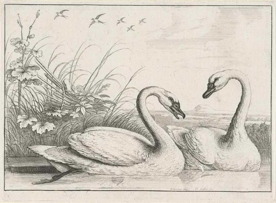 A serene scene of swans swimming with swallows flying overhead.
