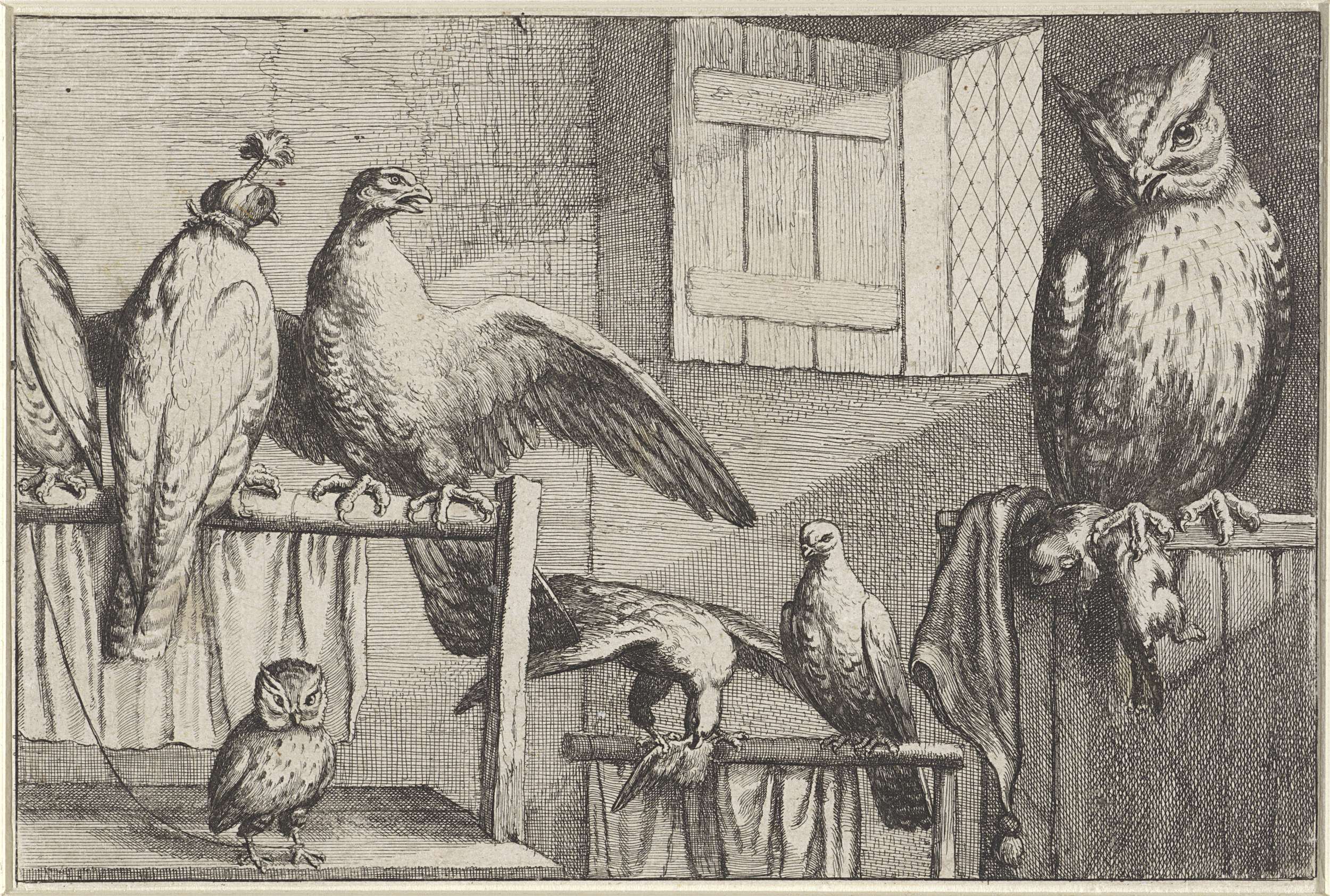Valken en uilen in een schuur by Wenceslaus Hollar, etching depicting falcons and owls in a barn