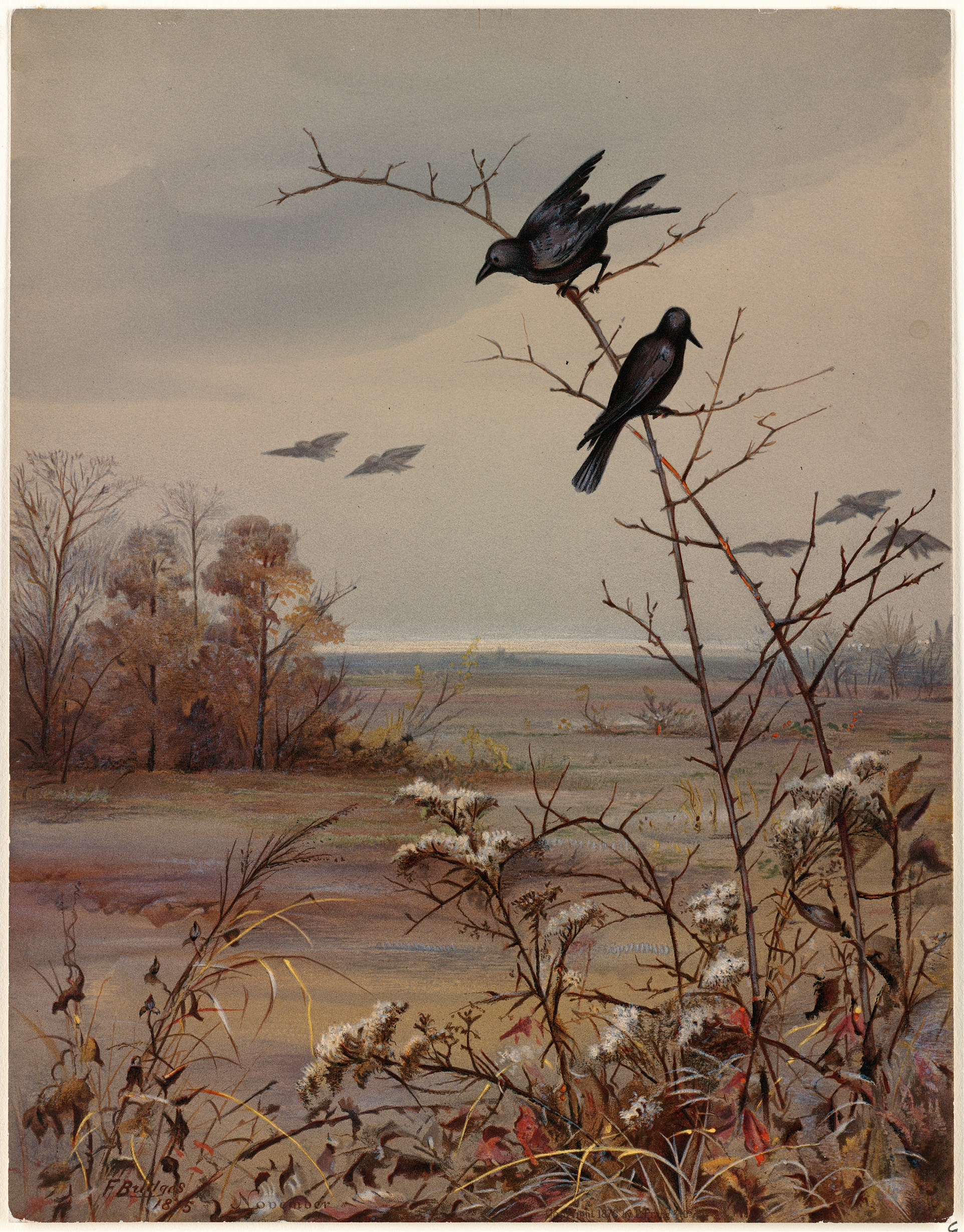Watercolour by Fidelia Bridges depicting a tranquil landscape at dusk