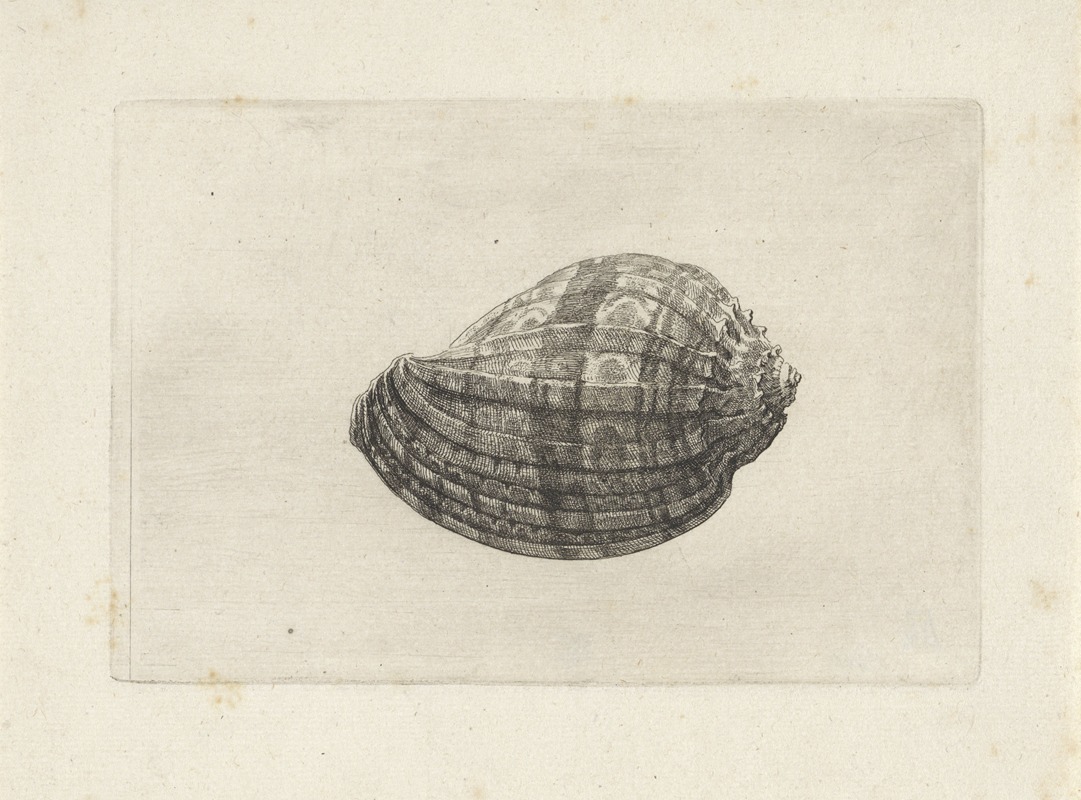 A detailed etching of a major harp by Wenceslaus Hollar.