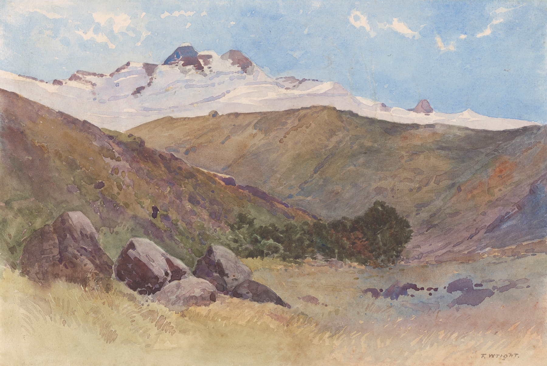 Landscape with Mountain and Gully by Frank Wright, oil painting depicting a lush gully and mountain.