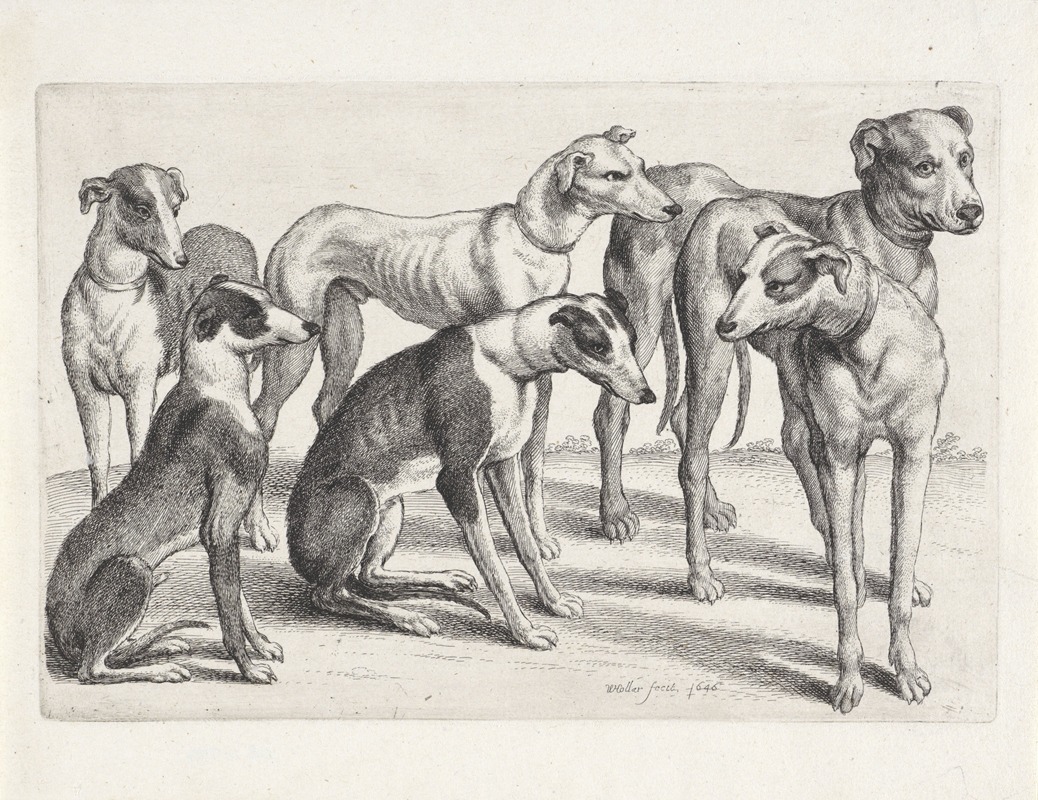 A group of six hounds resting in a field.