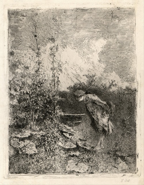 A detailed depiction of a botanist at work, showcasing the beauty of nature.