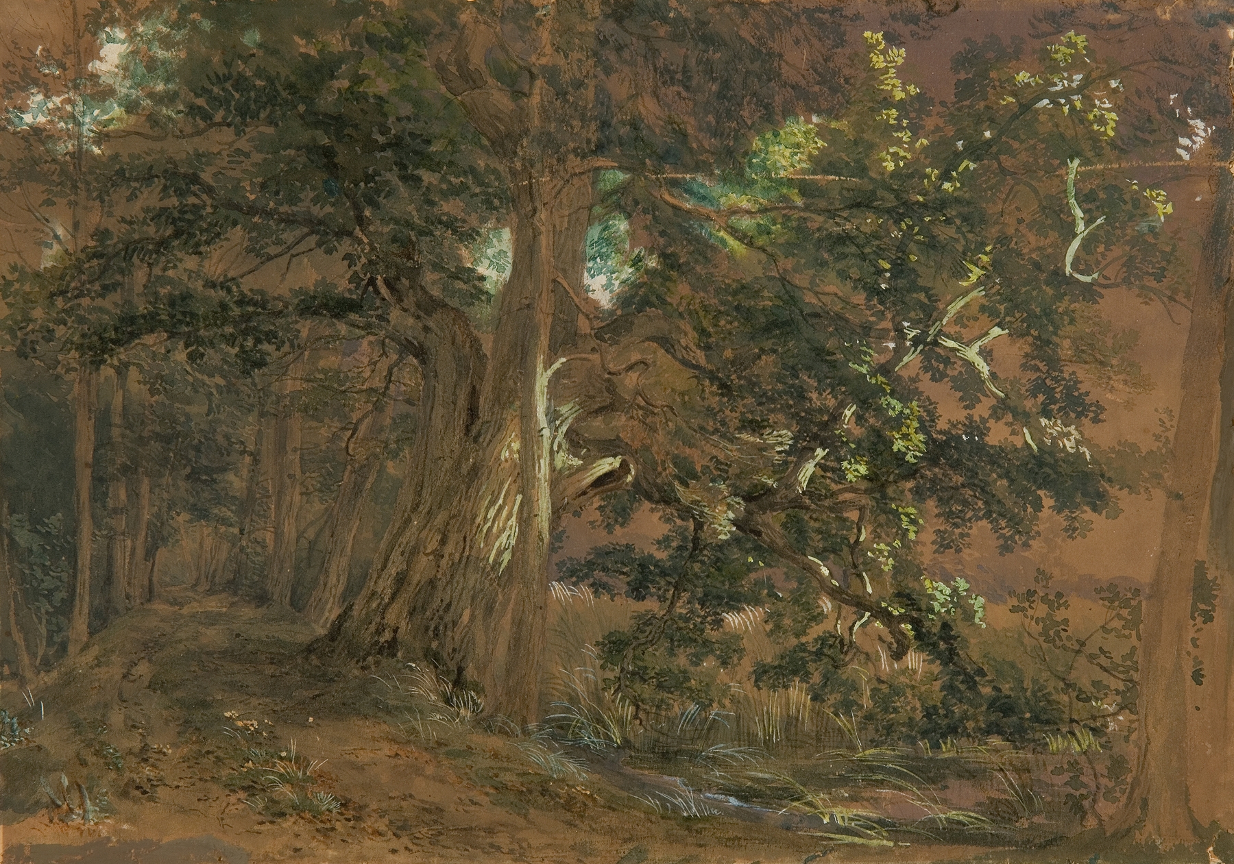 Waldinneres bei Lundenburg by Josef Höger, oil on canvas depicting a serene forest landscape.