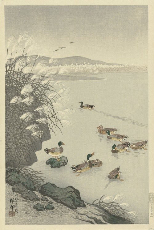 A serene depiction of ducks swimming in tranquil waters.
