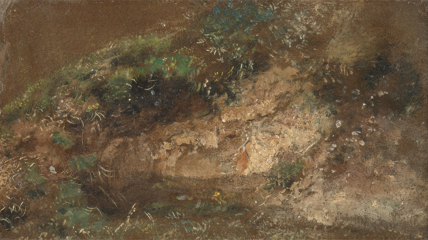 Undergrowth by John Constable, oil painting depicting a lush forest with sunlight filtering through foliage.