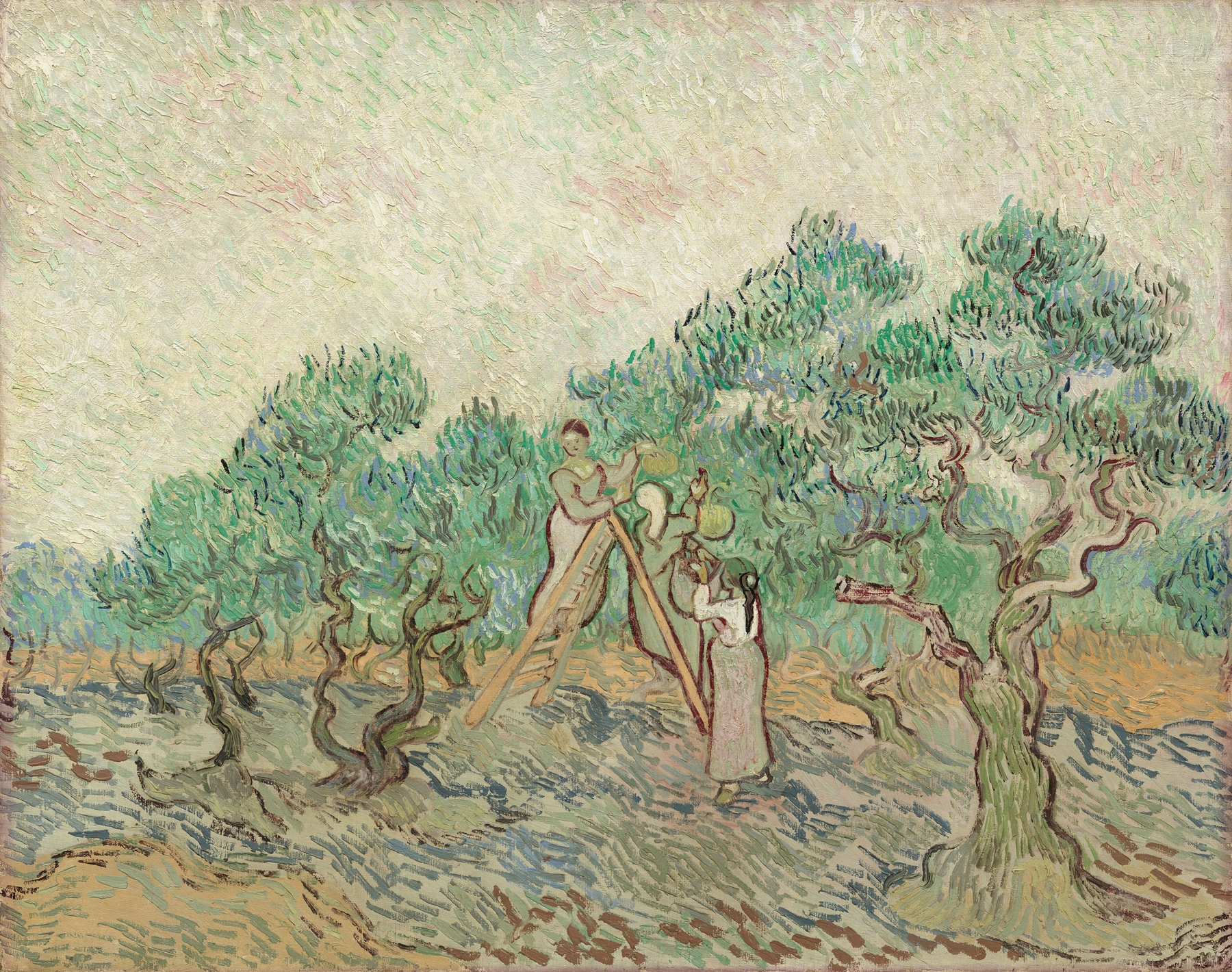 The Olive Orchard by Vincent van Gogh, oil on canvas, depicts olive trees under a blue sky.