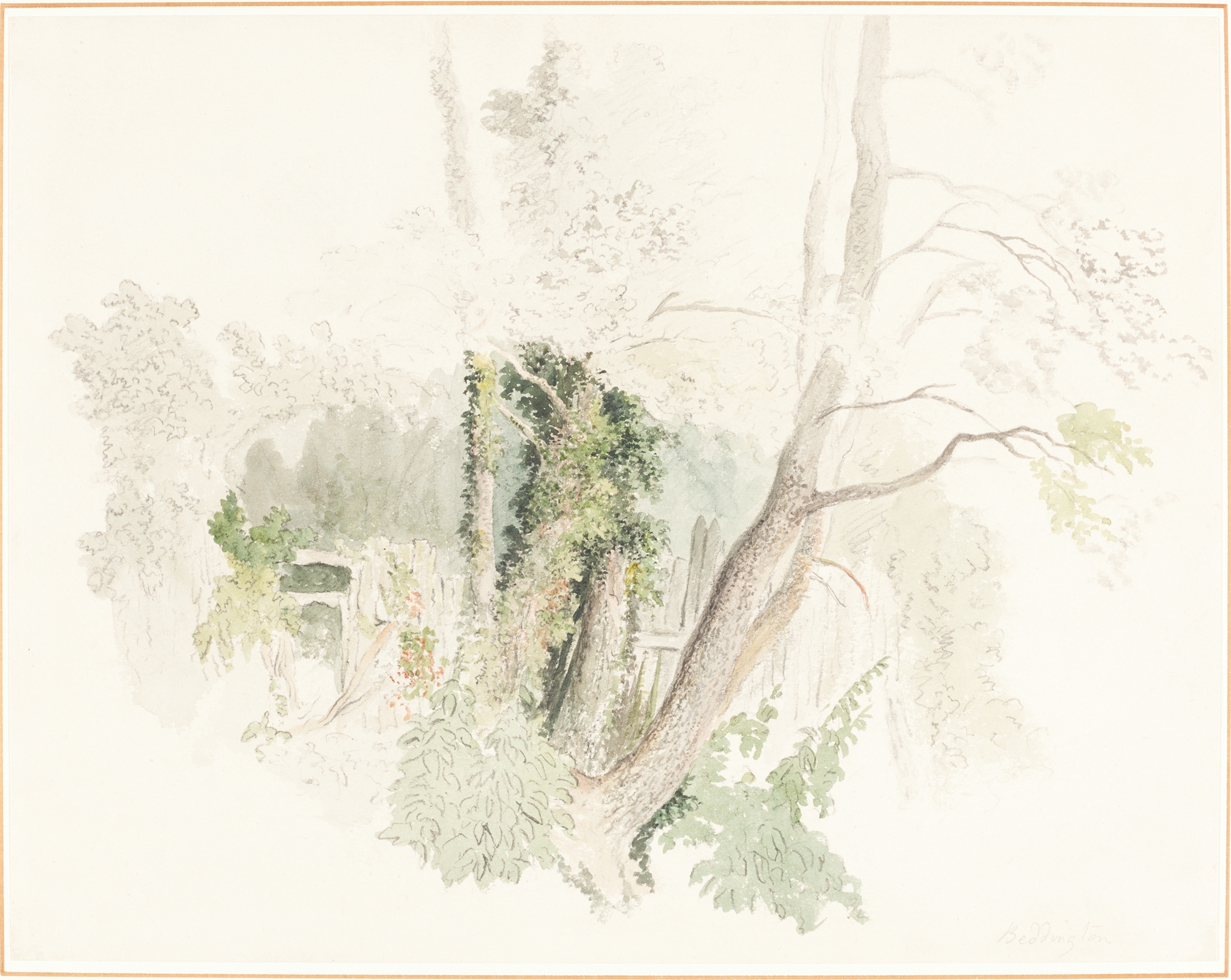 Trees at Beddington by Robert Hills, oil painting depicting a forest with sunlight filtering through the trees.