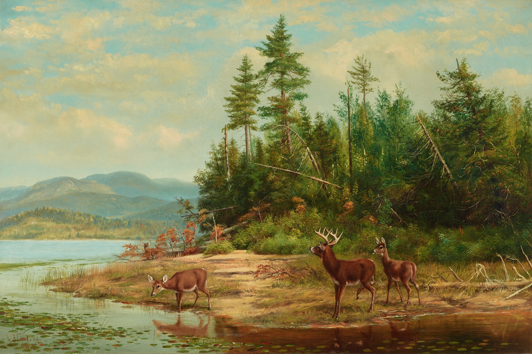 View on Long Lake, oil on canvas by Arthur Fitzwilliam Tait, depicting a tranquil lake at dawn.