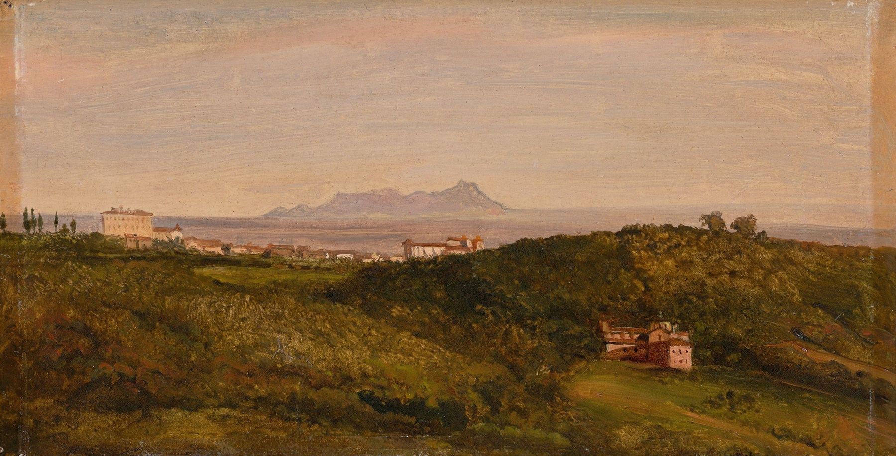 Landscape with hills and wildflowers, oil on canvas by Heinrich Bürkel