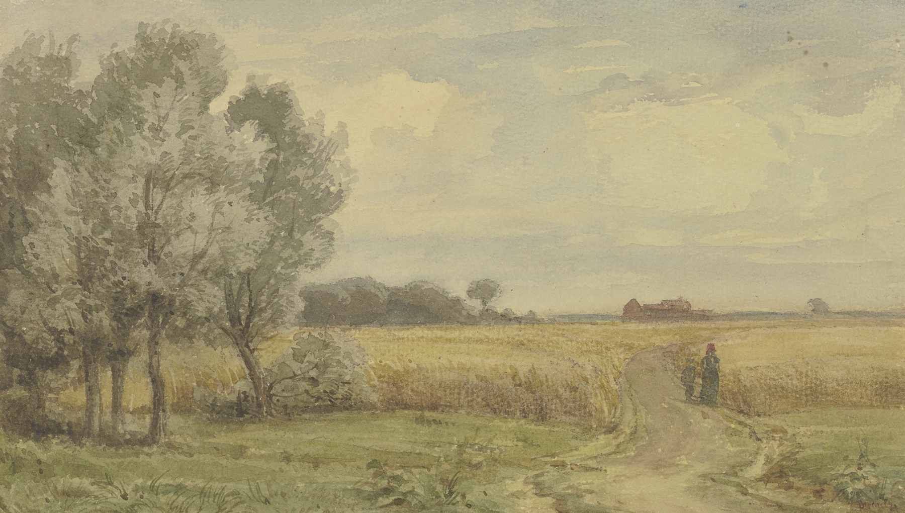 Cornfield in the summer by Peter Burnitz, oil on canvas depicting golden wheat and a blue sky