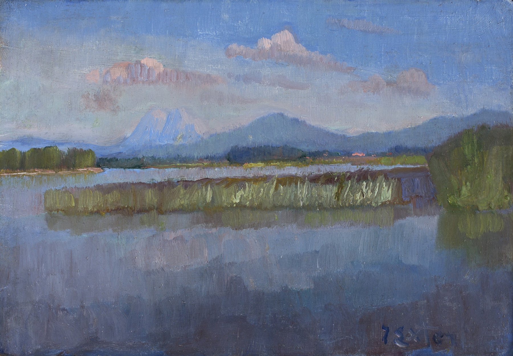 Landscape of Chiemseeufer by Julius Exter, impressionism, depicting shimmering waters and vibrant greens.