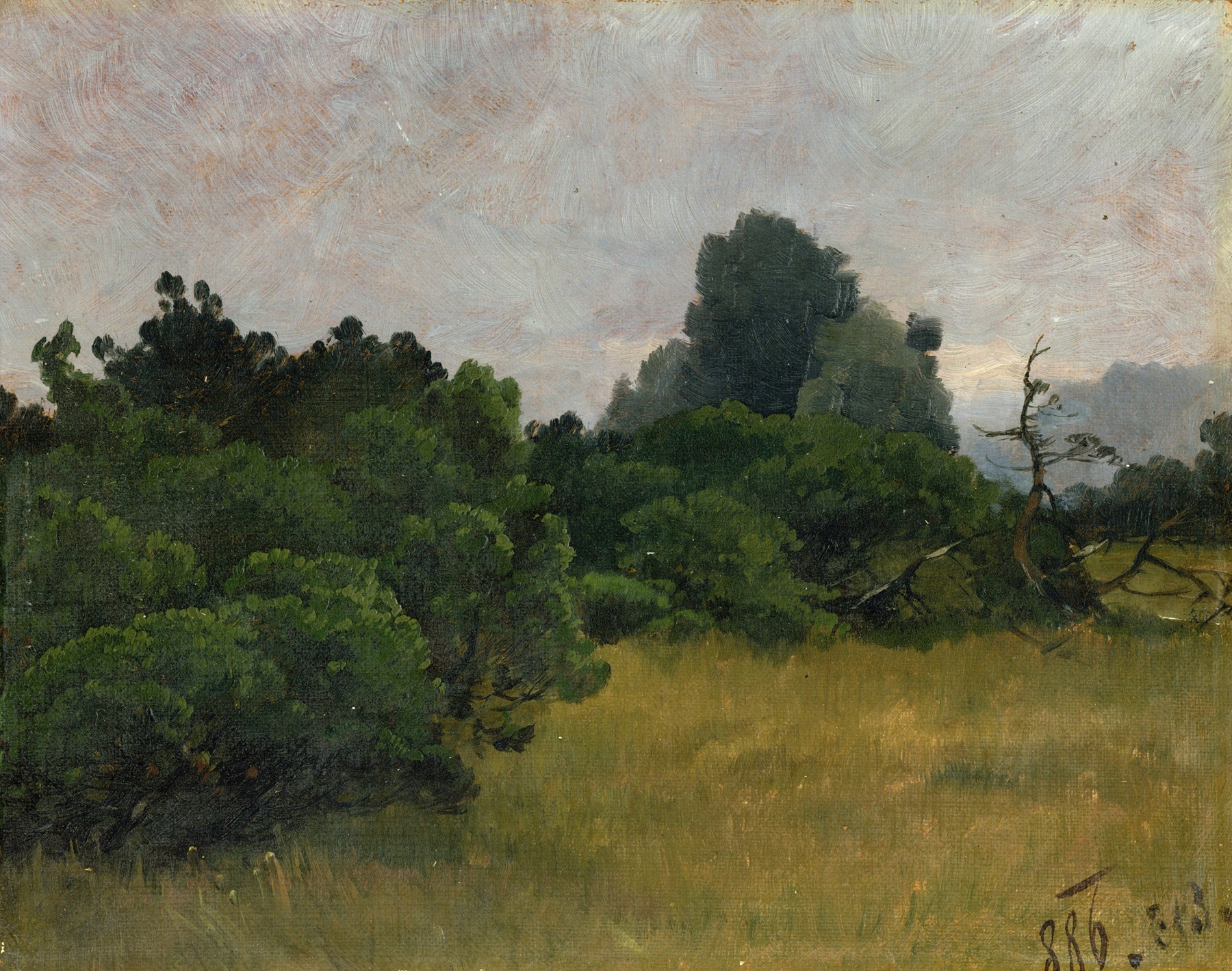 Watercolour by Carl Bolze depicting a forest with trees and foliage