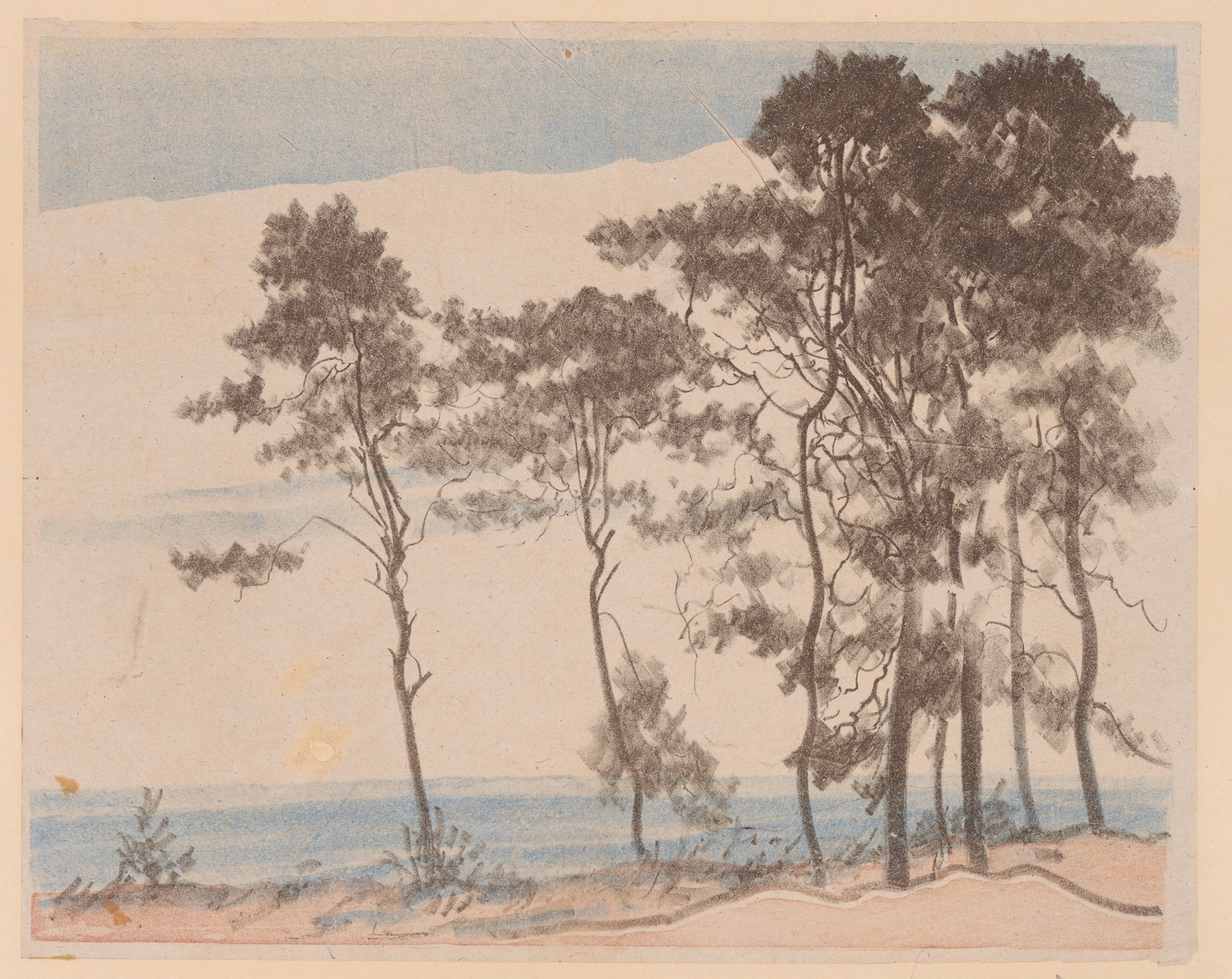 Sosenki II by Leon Wyczółkowski, oil on canvas depicting a dense forest with pine trees and light.