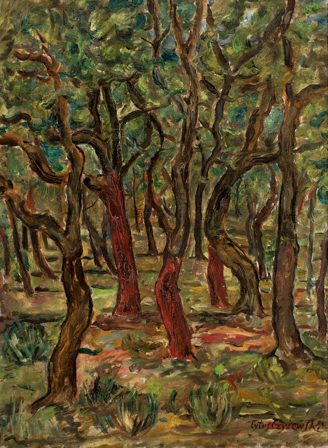Forest by Tytus Czyżewski, expressionism, vibrant landscape with swirling forms