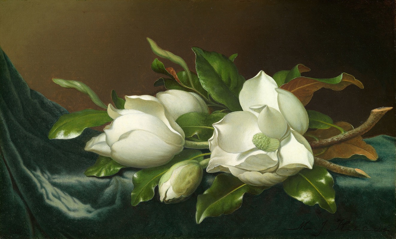 Magnolias on light blue velvet cloth, oil on canvas by Martin Johnson Heade