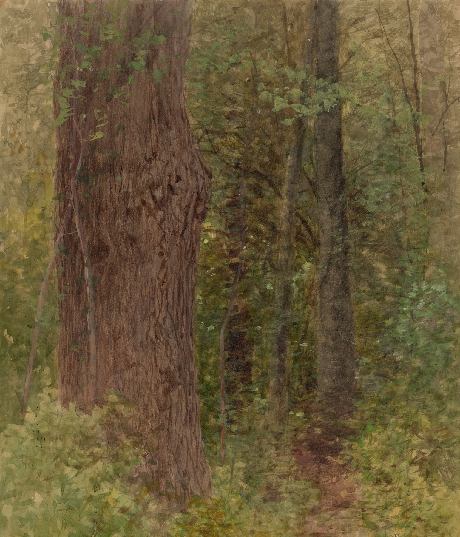 Close-up of trees in forest by Albert Fitch Bellows, oil painting