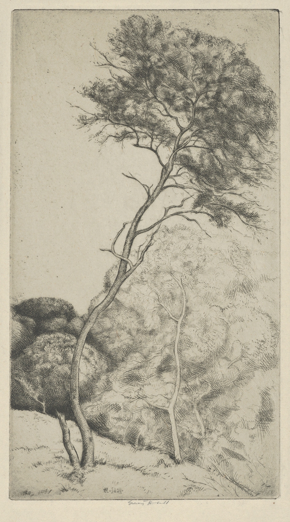 Figurative work by Ernest Haskell, depicting a figure in flowing fabric, 1900-1925