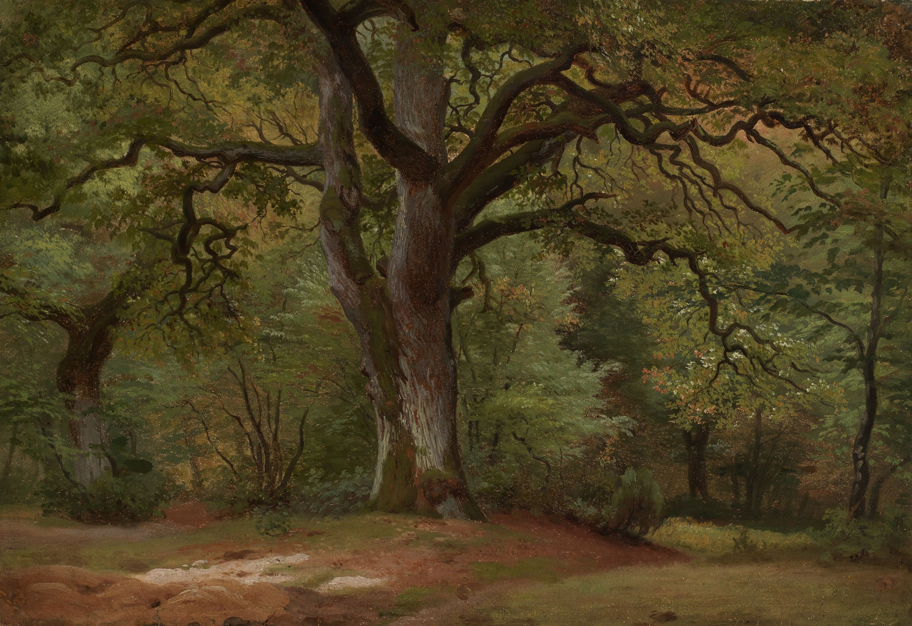 Eichenwald im Solling, by Johann Wilhelm Schirmer, public domain