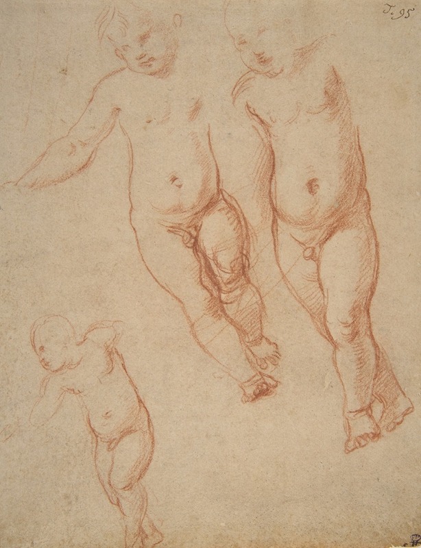 A study of the Christ Child by Raphael showcasing delicate features and soft colors.