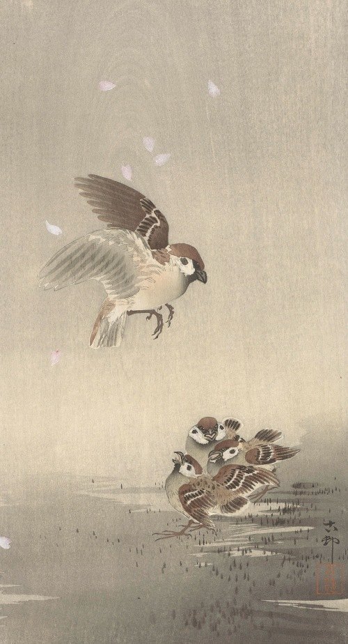 A beautiful depiction of a tree sparrow with its young, showcasing the delicate details of nature.