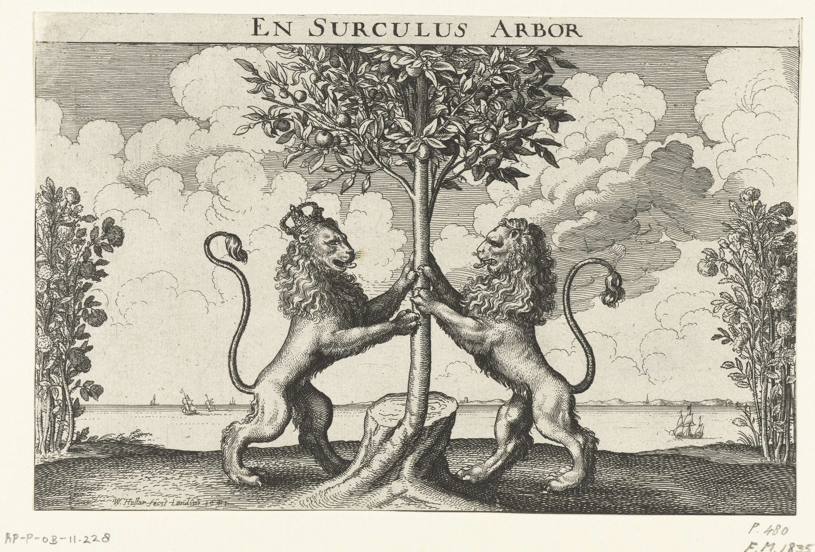 Allegorie op het huweljk tussen prins Willem II en Maria Stuart, 1641, by Wenceslaus Hollar, public domain