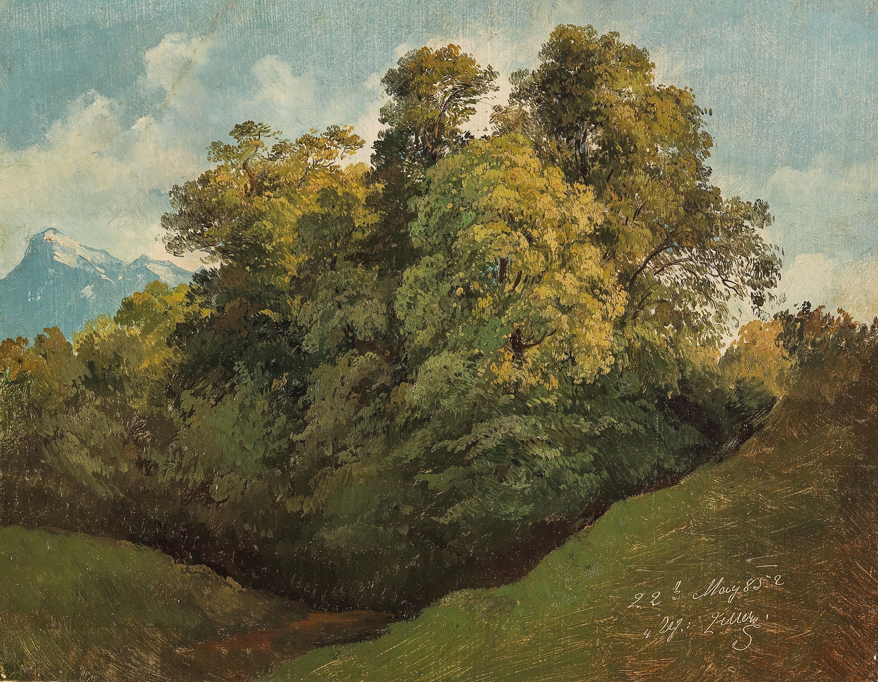 Salzburg, Trees set against the Untersberg, oil on canvas by Friedrich Zeller