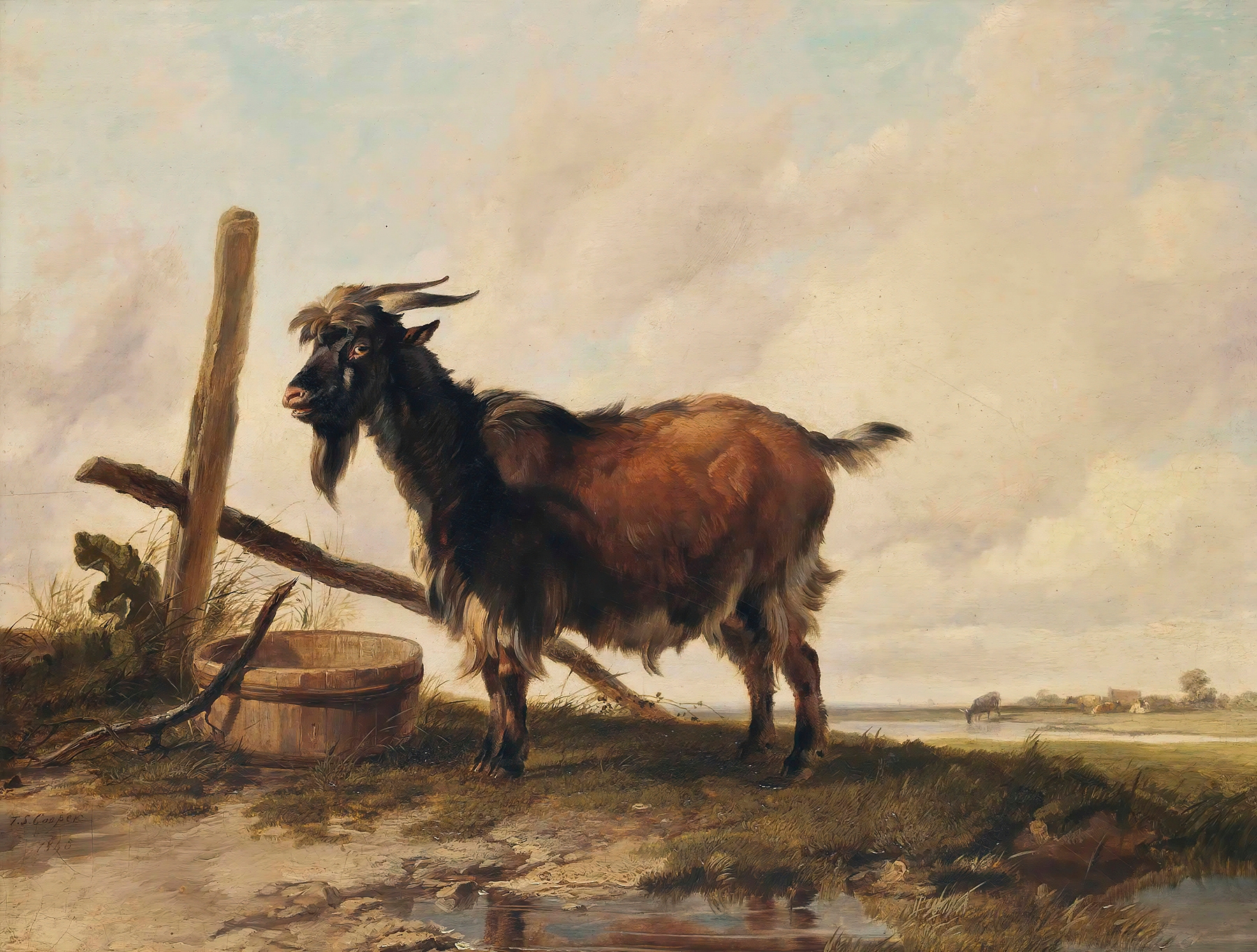 A goat in a lush landscape, oil on canvas by Thomas Sidney Cooper
