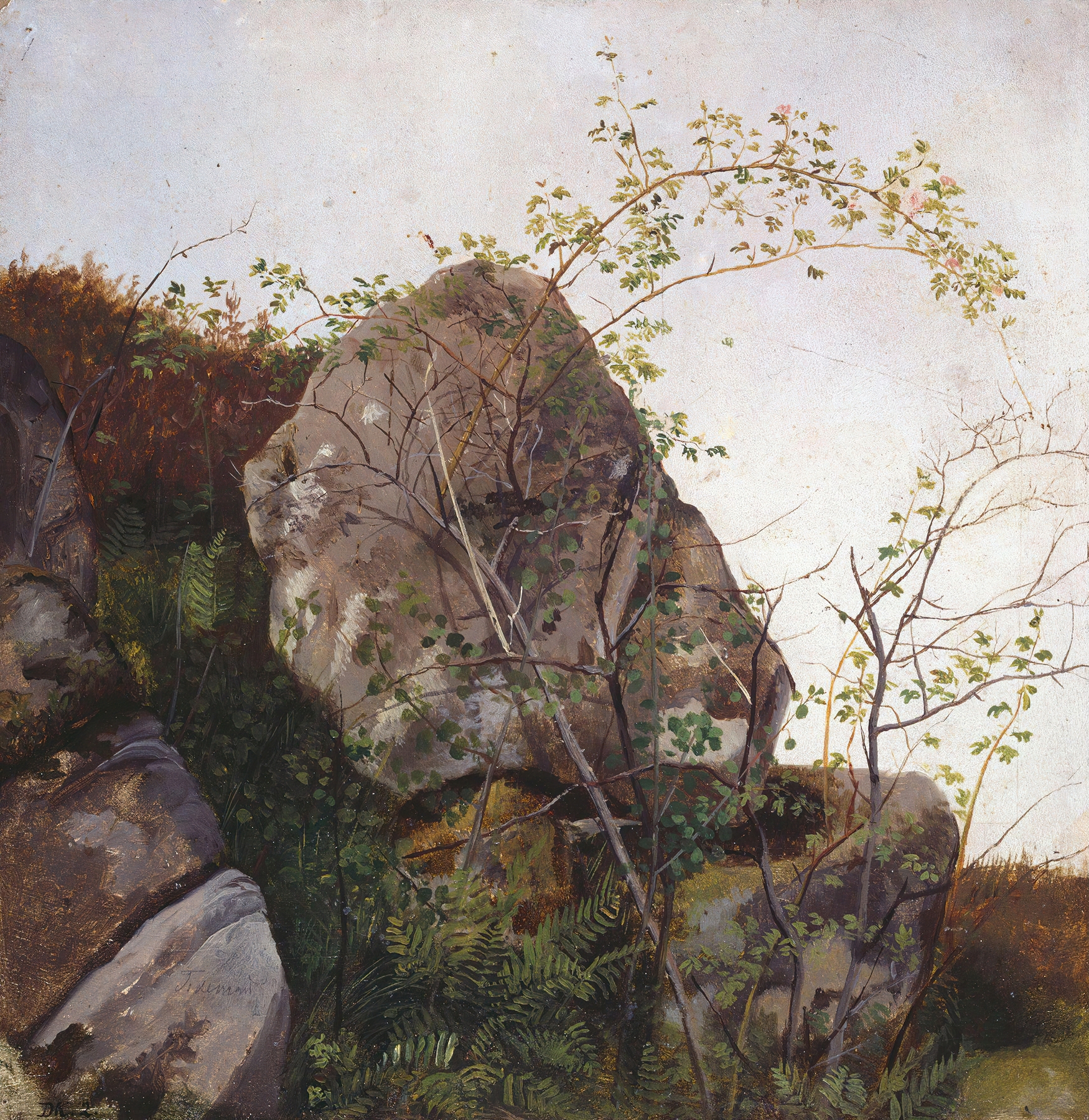 Study of Dog Roses and Ferns by Adolph Tidemand, depicting dog roses and ferns in an unknown medium.
